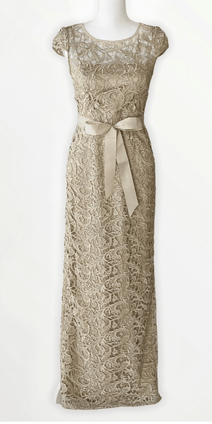 Cap Sleeve Lace Column Gown - Simply Borrowed Dresses